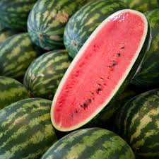 Jubilee Improved Watermelon Seeds - Heirloom, Non-GMO, Fusarium & Anthracnose Resistant