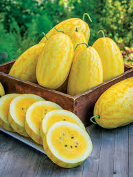 Gold In Gold Hybrid Watermelon Seeds - 50+ Premium Hybrid Seeds - Yellow Flesh