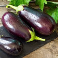 Eggplant Black Beauty Seeds - Solanum melongena | Heirloom, 75 Seeds, 75-85 Days
