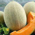 Hales Best Jumbo Melon Seeds (Cucumis melo) - Heirloom, Non-GMO, 1g Pack