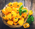 25 Jamaican Yellow Habanero Pepper Seeds (Capsicum chinense) – Extra-Hot, Fruity & Citrusy, Non-GMO