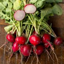 Radish Cherry Belle Seeds - 1g, Heirloom, Non-GMO, Fast-Growing