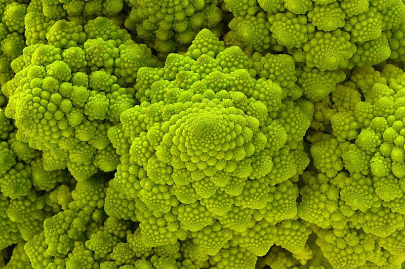 Romanesco Broccoli Seeds - 1,000 Non-GMO Heirloom Seeds, Fractal Shape