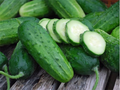 Boston Pickling Cucumber Seeds (50) - Heirloom, Non-GMO, 55 Days to Maturity