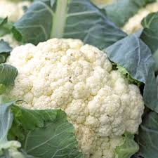 Snowball Y Improved Cauliflower Seeds - 500mg, Heirloom, Non-GMO