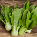 Pak Choi White Stem Seeds - Brassica rapa var. chinensis, 1g | Heirloom, Non-GMO, Easy to Grow