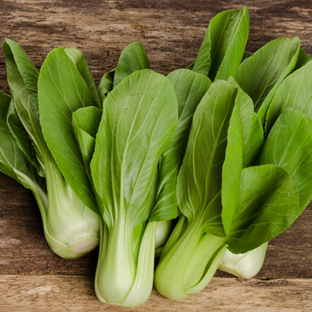 Pak Choi White Stem Seeds - Brassica rapa var. chinensis, 1g | Heirloom, Non-GMO, Easy to Grow