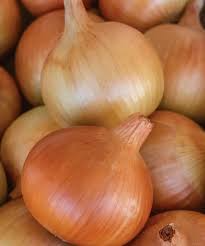 Patterson Onion Seeds - 500+ High-Yield Allium cepa Seeds (USA Sourced)