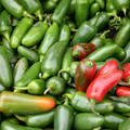 Jalapeno M Pepper Seeds - 300 Non-GMO Heirloom, 5,000 SHU, 2-6" Pods, 70-80 Days
