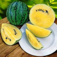 Yellow Doll Seedless Watermelon Seeds - 50+ USA-Grown, 75-85 Days, 6-12 lb Yellow Flesh