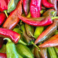 Anaheim Hot Pepper Seeds (Capsicum annuum) - 300mg, Non-GMO Heirloom, Mild Heat