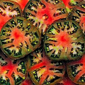 Black Sea Man Tomato Seeds - Heirloom, Non-GMO | 75 Days