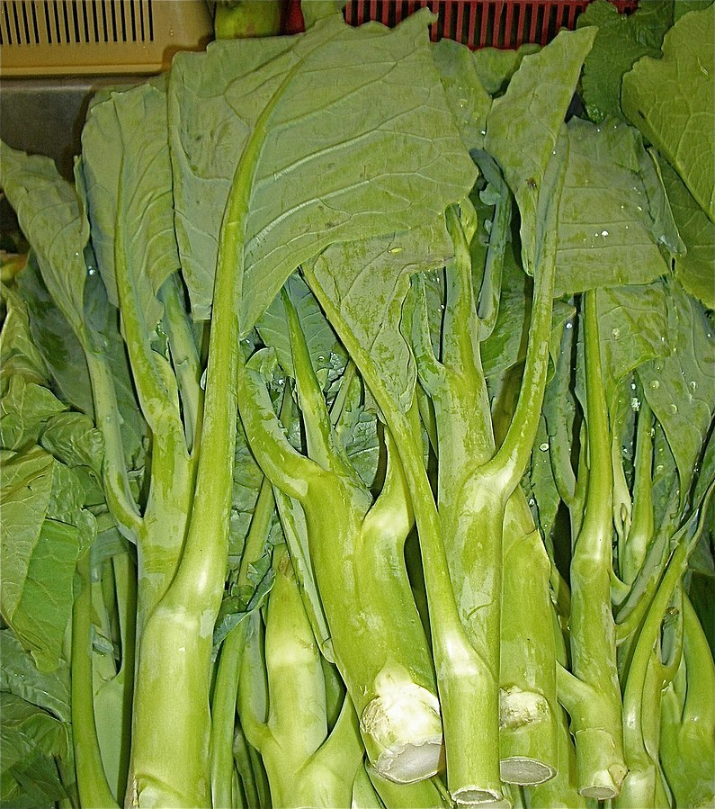 125 Kailaan Chinese Broccoli Seeds - Heirloom Gai Lan Kai Lan Asian Greens