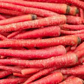 Atomic Red Carrot Seeds - Heirloom, Non-GMO, 75 Days to Maturity, Deep Red Outer Layer