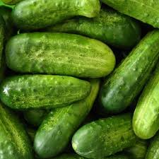 Cucumber National Pickling Seeds - 1g, High-Yield Cucumis sativus for Pickling & Fresh Eating