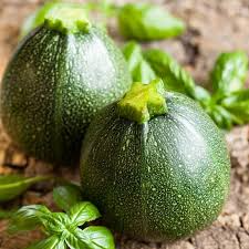 Summer Squash Round Zucchini Seeds (1g) - Cucurbita pepo | High-Yield, Non-GMO