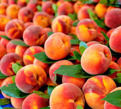 3 Peach Tree Seeds - Dwarf Nemaguard Prunus persica (Hardy, Self-Pollinating)