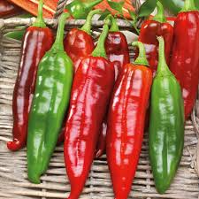Hot Hatch Big Jim Chili Pepper Seeds - Capsicum annuum | Mild-Medium Heat, Non-GMO, 300mg