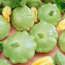 Bennings Green Tint Scallop Squash Seeds - Heirloom, Cucurbita pepo, 2-3 inch fruit, Deer Resistant, Non-GMO, Zones 3-10