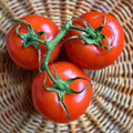 Floradade Tomato Seeds - Heirloom, Heat-Tolerant, Non-GMO | 5-7 oz Red Fruits