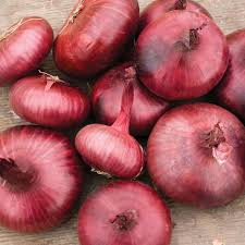 Red Cipollini Onion Seeds - 25 Non-GMO Heirloom Seeds, Flat Sweet Onions for Roasting & Pickling