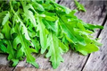 Roquette Arugula Seeds - Heirloom, Non-GMO - 40 Days to Maturity