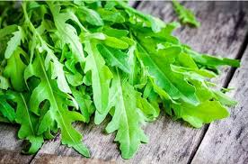 Roquette Arugula Seeds - Heirloom, Non-GMO - 40 Days to Maturity