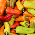 Cubanelle Pepper Seeds - Heirloom Sweet Frying Peppers, Non-GMO | Zones 4-10