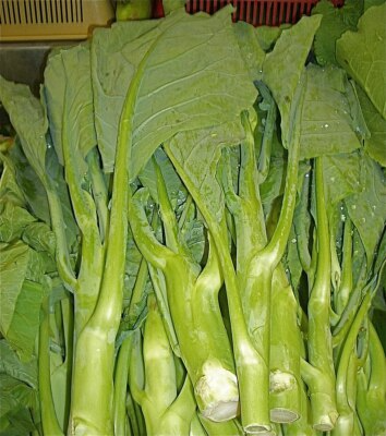 Chinese Broccoli Kailaan Seeds 500mg Open-Pollinated Heirloom Brassica oleracea var. alboglabra