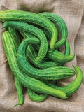 Suyo Long Cucumber Seeds - Heirloom Burpless, Bitter-Free | 60 Days