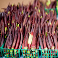 Okra Red Burgundy Seeds - Abelmoschus esculentus, 1g, Heirloom Non-GMO