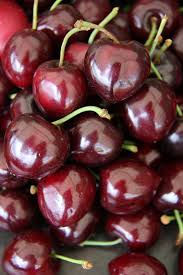 Noir de Guben Cherry Seeds - 10+ Rare Sweet Black Cherry Seed Kit