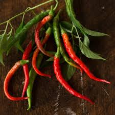 Cayenne Long Thin Pepper Seeds - Heirloom, Non-GMO | 30k-50k SHU, 75 Days, Zones 4-10