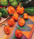 Orange Habanero Pepper Seeds - Heirloom, Non-GMO, 100 Days, Scoville 100k-350k