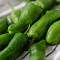 Padron Pepper Seeds - Heirloom, Non-GMO | 85 Days to Maturity | Mild with Hint of Heat