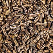 Caraway Seeds Carum carvi - 1g Heirloom Non-GMO Culinary Herb
