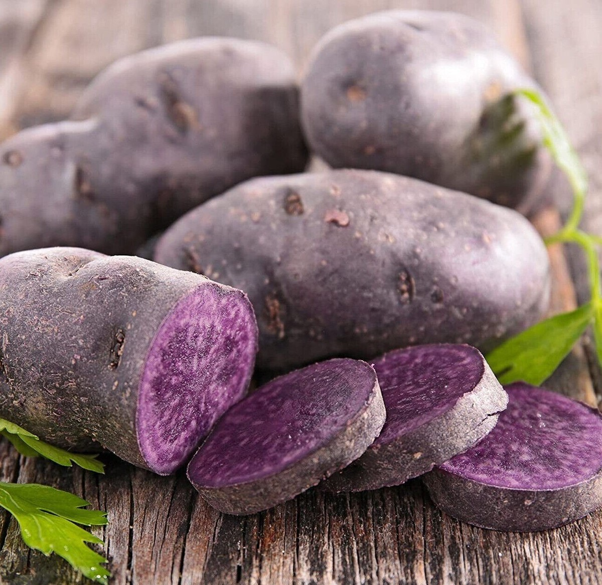 Blue Adirondack Seed Potatoes - 500g USDA Certified Purple Seed Potatoes for Planting