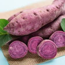 All Purple Sweet Potato Starter Plant (5 lb) – Organic, Japanese Variety, Fast-Growing