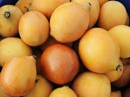Garcinia Achachairu Starter (Mexican Mangosteen) - 10-18" Live Tropical Fruit Tree