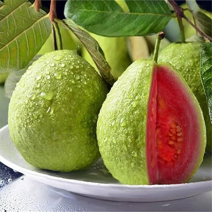 Strawberry Guava Seeds (Psidium cattleianum) - 50 Organic Pink Guava Seeds