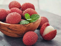Lychee Tree (Litchi chinensis) Rooted Cutting 12–24" Starter Plant