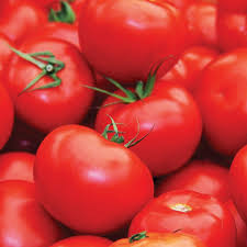 Floradade Tomato Seeds (Solanum lycopersicum) – Heat-Tolerant, High-Yielding, Indeterminate