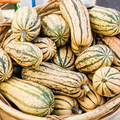 Delicata Squash Seeds - Non-GMO Heirloom Winter Squash, 1-3 lb Fruits, 100 Days to Maturity