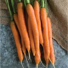 Mokum Carrot Seeds - 1000+ Early Maturing Hybrid, Sweet & Crisp (50-60 days)