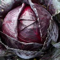 750 Red Acre Cabbage Seeds - Non-GMO Heirloom, Reddish-Purple Heads (75-90 days) - Seeds
